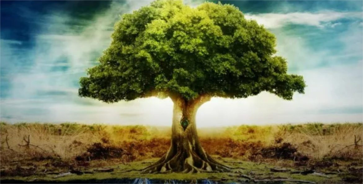 BIEN MOURIR – Par Rony Akrich