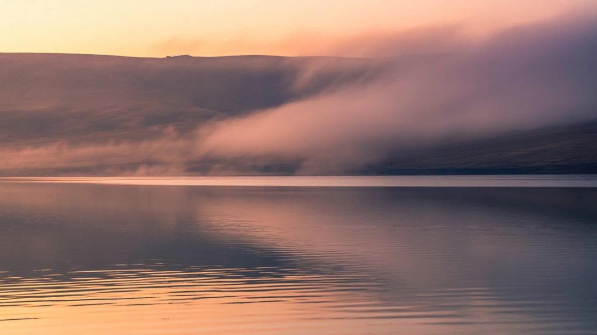 WhatsApp Image 2025-10-29 at 07.04.27_2e0ff098 Hineni, frémissement de présence. Rony Akrich